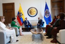 Seguridad, alianzas y cooperación: la apuesta de Daniel Noboa en su acercamiento con la OEA | Política | Noticias