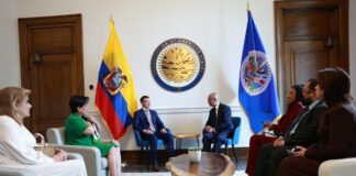 Seguridad, alianzas y cooperación: la apuesta de Daniel Noboa en su acercamiento con la OEA | Política | Noticias