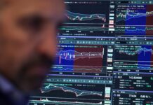 Cucarachas en el sistema financiero