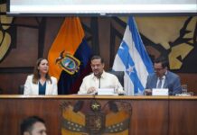 Ana María Gallardo es la nueva viceprefecta del Guayas: conozca su perfil | Política | Noticias