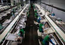 El sector alimentario pide ayudas directas y suspender el impuesto al plástico para paliar la crisis de Irán