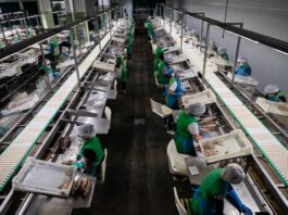 El sector alimentario pide ayudas directas y suspender el impuesto al plástico para paliar la crisis de Irán