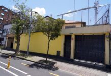 Socialcristianos presentarán su nueva imagen: hay cambios en su logo, pero sus colores se mantienen | Política | Noticias