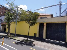 Socialcristianos presentarán su nueva imagen: hay cambios en su logo, pero sus colores se mantienen | Política | Noticias