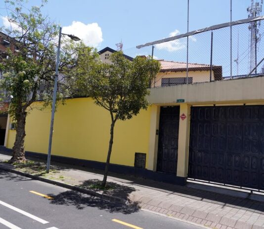 Socialcristianos presentarán su nueva imagen: hay cambios en su logo, pero sus colores se mantienen | Política | Noticias