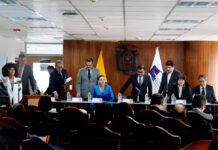 Sandra Cordero se principaliza como jueza del pleno de la Corte Constitucional | Política | Noticias