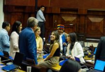 Correísmo presenta proyecto para delimitar alcance de la cooperación eficaz | Política | Noticias