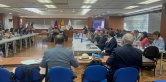 Perito continua exponiendo informe y conclusiones en el quinto día de audiencia en el caso Sinohydro | Política | Noticias