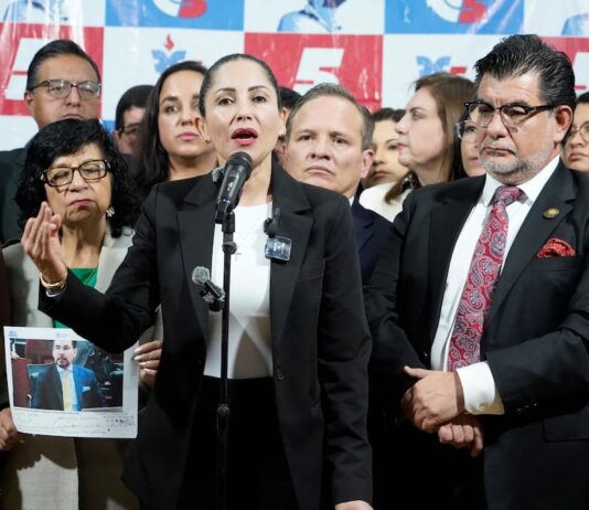 Cuentas de campaña 2023: Luisa González y otros dos militantes de la RC son sancionados a pagar $ 18.000 | Política | Noticias