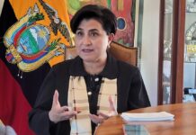 Gabriela Sommerfeld, canciller: Ecuador responderá sobre eliminación de los aranceles a Colombia antes del plazo | Política | Noticias