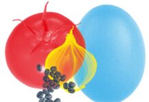 La cesta de la compra se pone por las nubes: estos son los productos que más han subido y los supermercados que más los han encarecido | Negocios