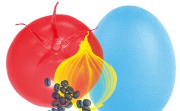 La cesta de la compra se pone por las nubes: estos son los productos que más han subido y los supermercados que más los han encarecido | Negocios