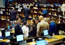 Asamblea archiva proyecto que proponía declarar feriado nacional el 18 de noviembre de cada año | Política | Noticias