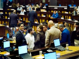 Asamblea archiva proyecto que proponía declarar feriado nacional el 18 de noviembre de cada año | Política | Noticias