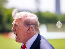 Trump anuncia aranceles del 25% a la importación de coches europeos | Economía