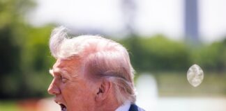 Trump anuncia aranceles del 25% a la importación de coches europeos | Economía