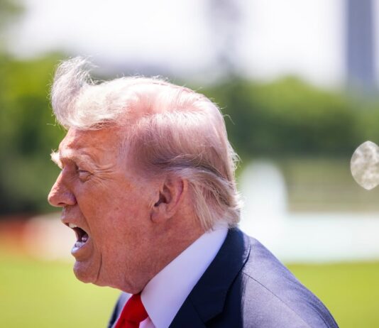 Trump anuncia aranceles del 25% a la importación de coches europeos | Economía