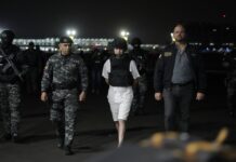 La extradición de cabecillas de grupos delictivos que están en otros países, parte de la estrategia que maneja Ecuador para atacar las estructuras criminales | Política | Noticias
