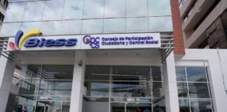 Trayectoria profesional y una hoja de vida intachable, los requisitos que deben reunir los precandidatos a consejero de Participación Ciudadana | Política | Noticias