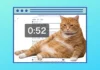 Este orondo gato naranja te ayuda a combatir el «doomscrolling»