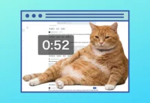 Este orondo gato naranja te ayuda a combatir el «doomscrolling»