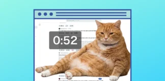 Este orondo gato naranja te ayuda a combatir el «doomscrolling»
