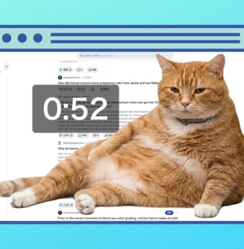 Este orondo gato naranja te ayuda a combatir el «doomscrolling»