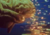 La IA está fagocitando el cerebro de los trabajadores