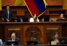 Asamblea Nacional elegirá a su nuevo primer vicepresidente este miércoles 10 de junio | Política | Noticias