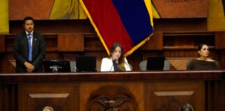 Asamblea Nacional elegirá a su nuevo primer vicepresidente este miércoles 10 de junio | Política | Noticias