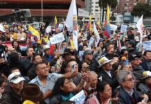 Solicitan al CNE formularios para iniciar revocatoria contra Daniel Noboa | Política | Noticias