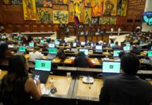 Comisión de Seguridad fiscalizará supuesta ‘sala espejo’ con acceso a sistemas de videovigilancia de Segura EP en Guayaquil | Política | Noticias
