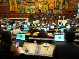 Comisión de Seguridad fiscalizará supuesta ‘sala espejo’ con acceso a sistemas de videovigilancia de Segura EP en Guayaquil | Política | Noticias