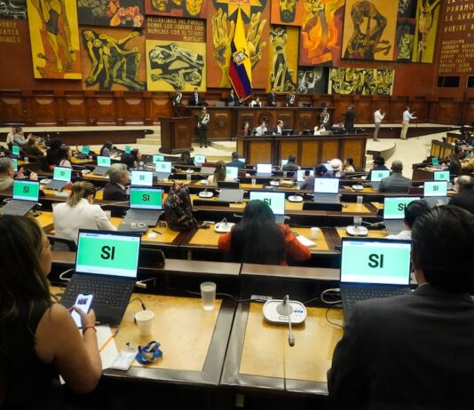 Comisión de Seguridad fiscalizará supuesta ‘sala espejo’ con acceso a sistemas de videovigilancia de Segura EP en Guayaquil | Política | Noticias