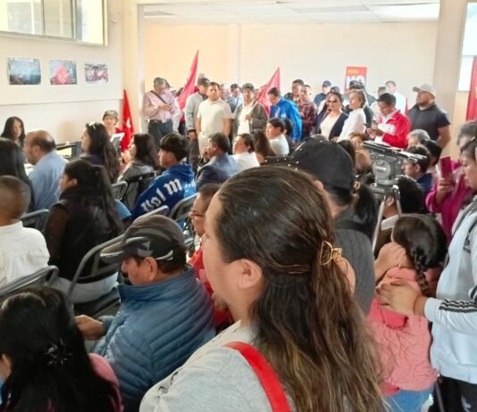 UP define precandidaturas en Pichincha y Santo Domingo de los Tsáchilas | Política | Noticias