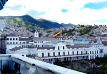 Reestructuración estatal contempla eliminación de trámites y digitalización de servicios | Política | Noticias