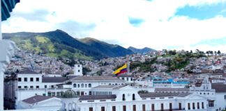 Reestructuración estatal contempla eliminación de trámites y digitalización de servicios | Política | Noticias