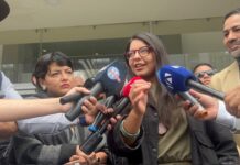 Testimonio anticipado en caso Magnicidio FV confirmaría reuniones en el extranjero y vía Zoom con Rafael Correa, Ricardo Patiño, Ronny Aleaga y José Serrano | Política | Noticias