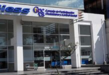 CNE publicó lista de los 309 precandidatos al Consejo de Participación Ciudana | Política | Noticias