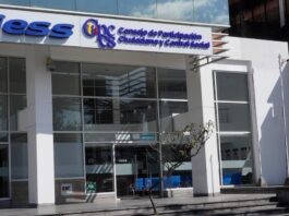 CNE publicó lista de los 309 precandidatos al Consejo de Participación Ciudana | Política | Noticias
