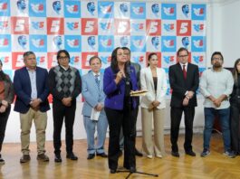 Rafael Correa define las reglas para elegir a los precandidatos de la RC para las seccionales de noviembre | Política | Noticias