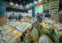 Ifema encuentra tierra fértil fuera de España