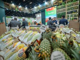 Ifema encuentra tierra fértil fuera de España