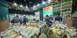 Ifema encuentra tierra fértil fuera de España