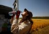 Inspección refuerza la vigilancia en los trabajos más expuestos al calor, como el campo o la construcción