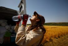 Inspección refuerza la vigilancia en los trabajos más expuestos al calor, como el campo o la construcción