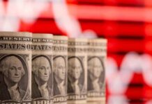 Mercados privados: rehenes de la rentabilidad