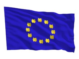 La financiación de la UE: transformar restricciones en oportunidades | Negocios