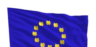 La financiación de la UE: transformar restricciones en oportunidades | Negocios