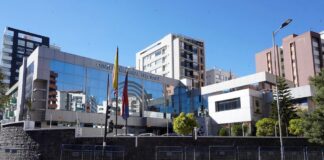 Título universitario, mayoría de edad y ética pública: 20 requisitos para ser candidato al Consejo de Participación Ciudadana | Política | Noticias